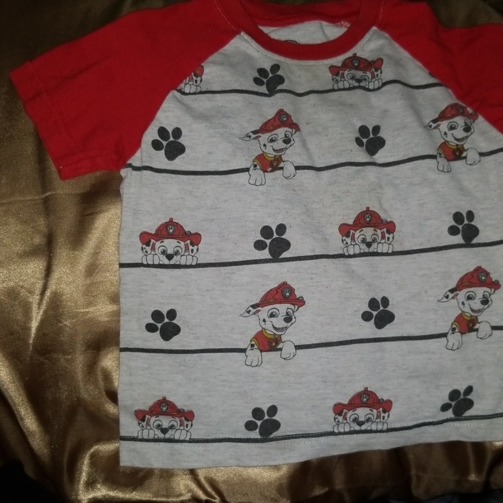 Paw patrol